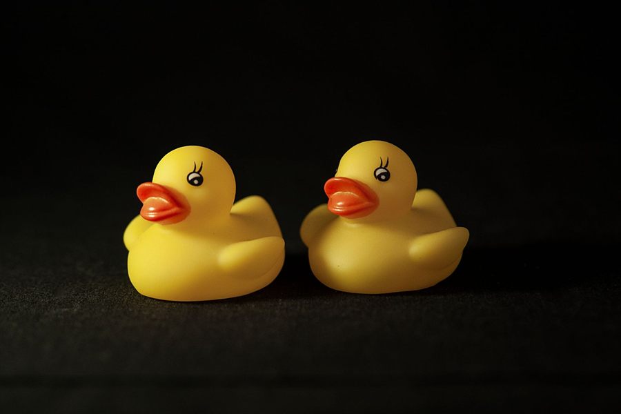 Two yellow rubber ducks side by side
